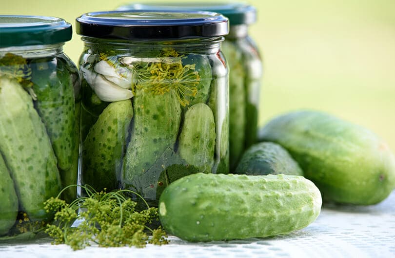 Can Dogs Eat Pickles?