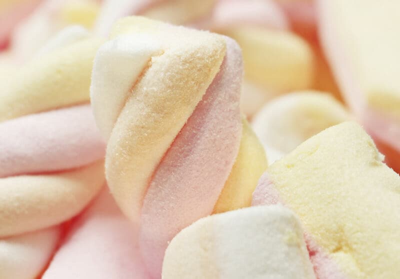 Can Dogs Eat Marshmallows?