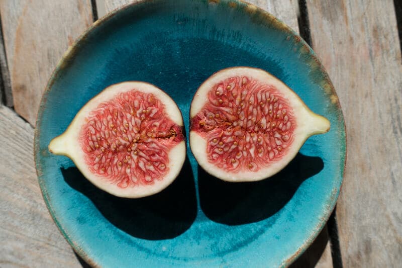Can Dogs Eat Figs?