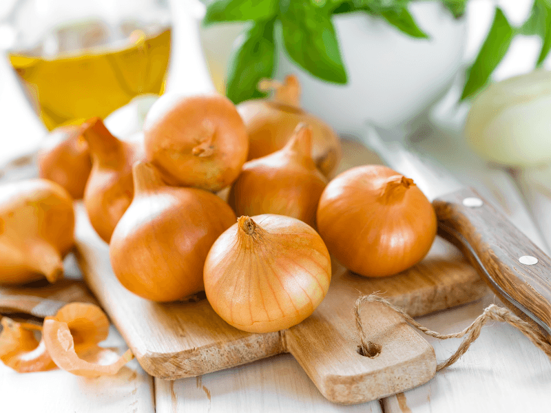 Can Cats Eat Onions? Waldo's Friends