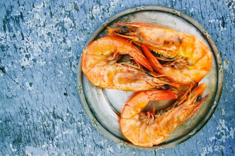 Can Cats Eat Shrimp?
