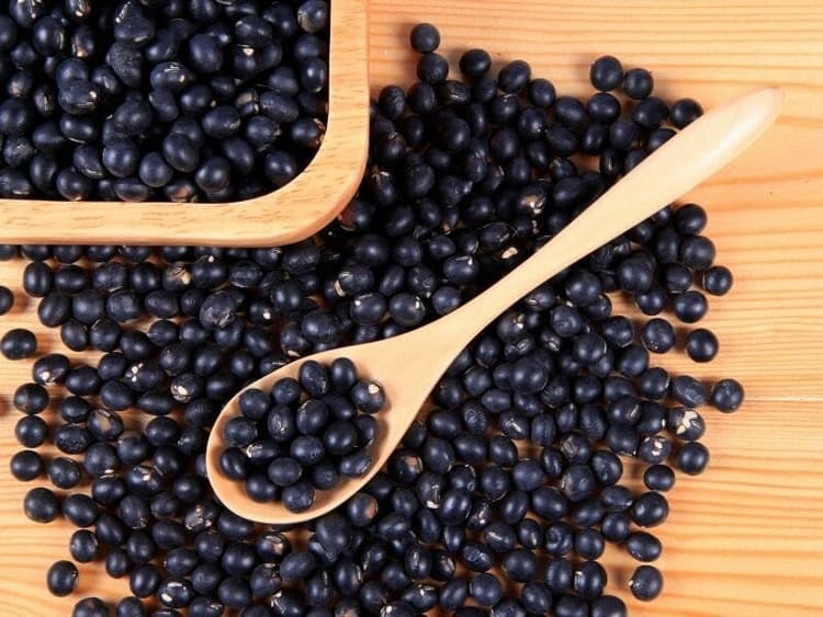 Can Dogs Eat Black Beans? Waldo's Friends