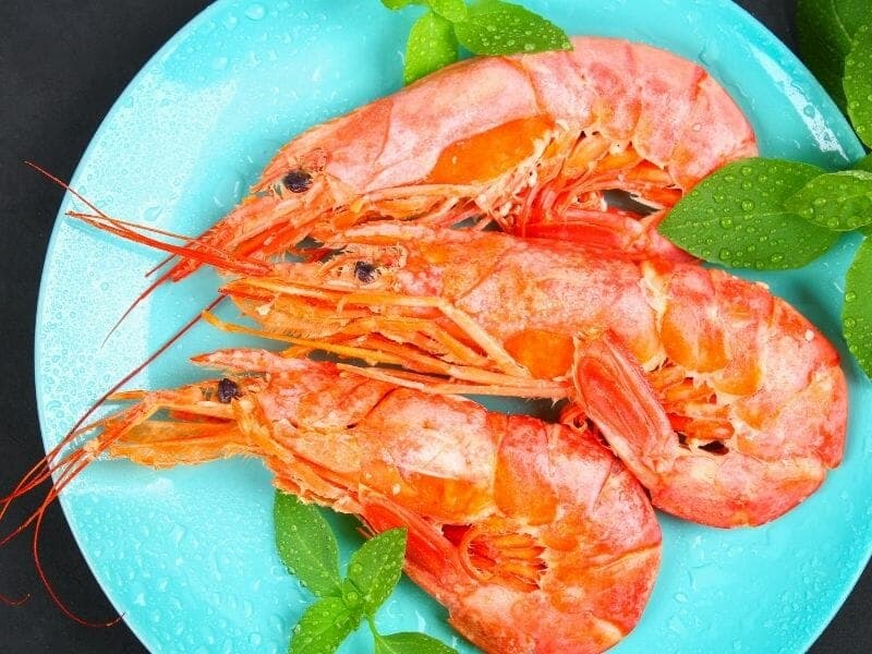 Can Cats Eat Prawns? Waldo's Friends