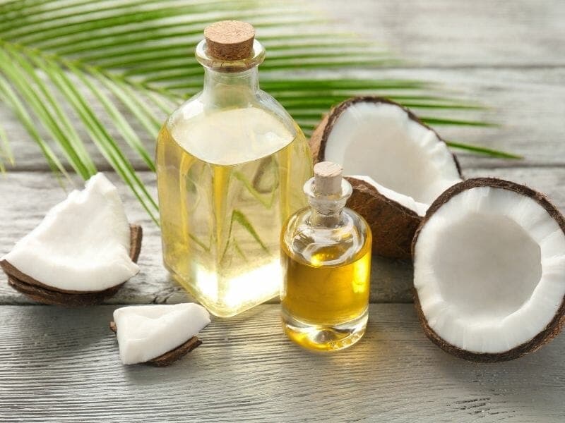 Can Dogs Eat Coconut Oil?