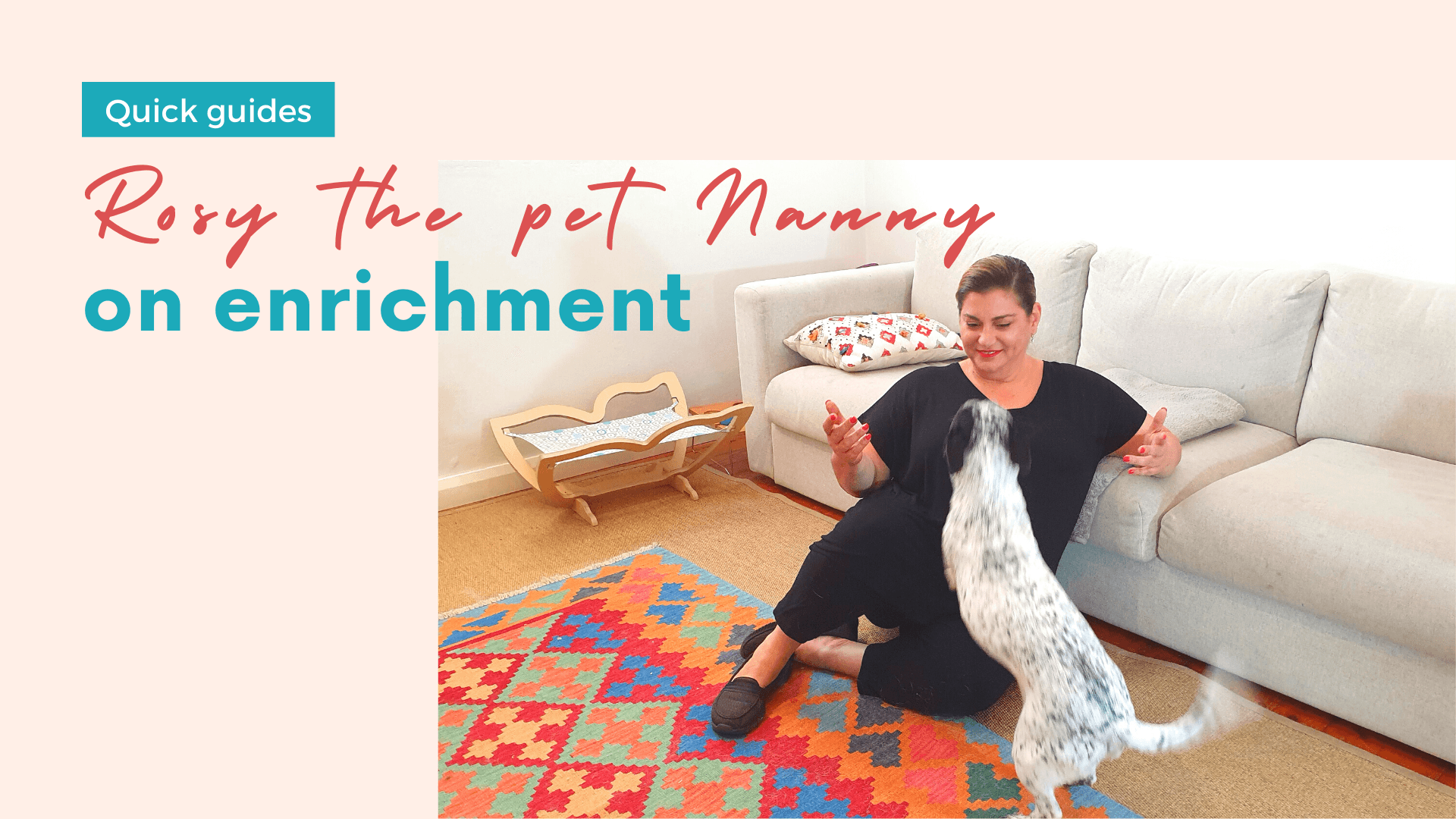 enrichment video