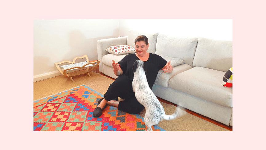 Quick Guide: Enrichment for Your Pets at Home