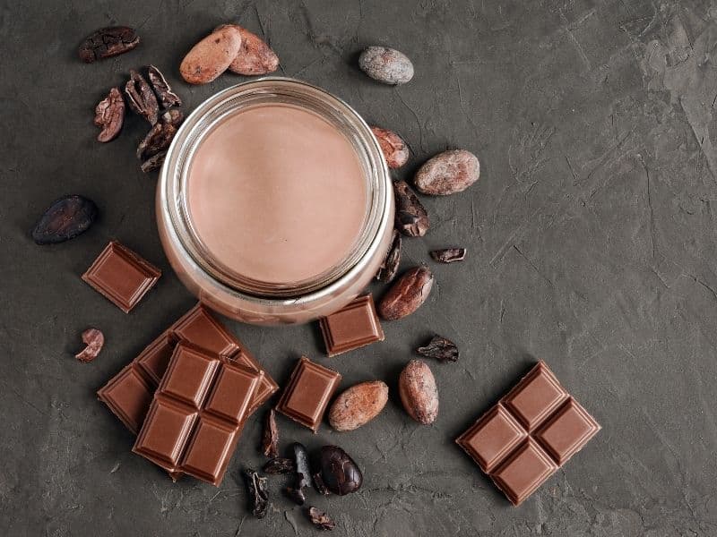 Can Cats Drink Chocolate Milk? Waldo's Friends