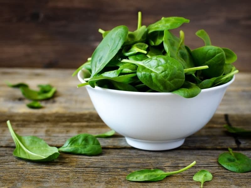 Can Cats Eat Spinach?
