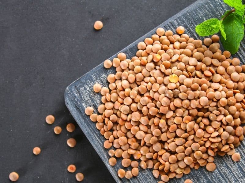 Can Cats Eat Lentils? Waldo's Friends