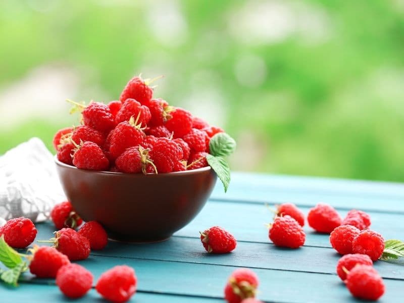 Can Cats Eat Raspberries? Waldo's Friends