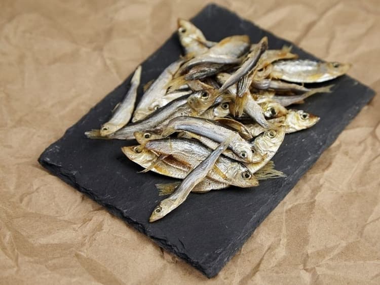 Can Dogs Eat Sardines? Waldo's Friends