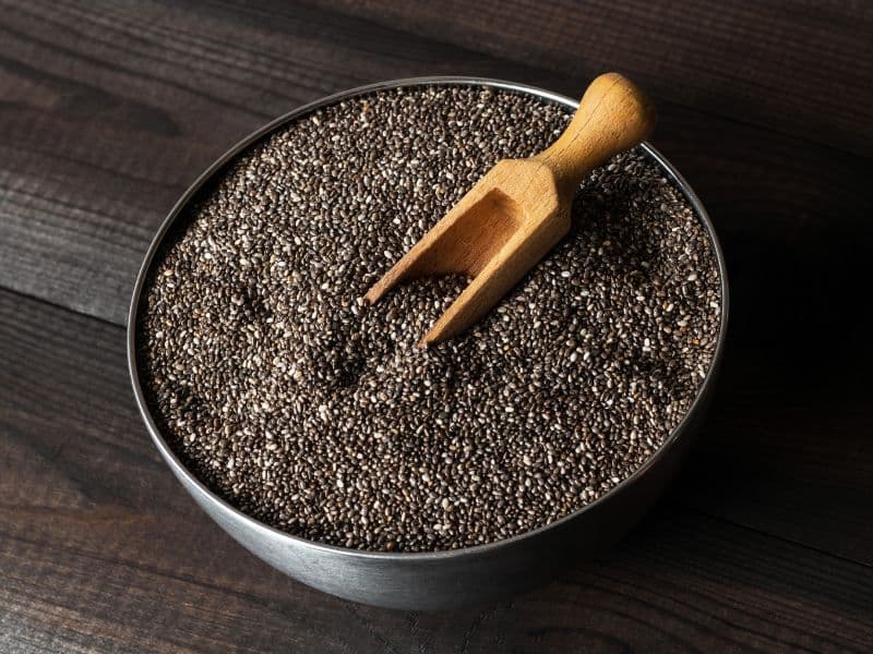Can Cats Eat Chia Seeds? Waldo