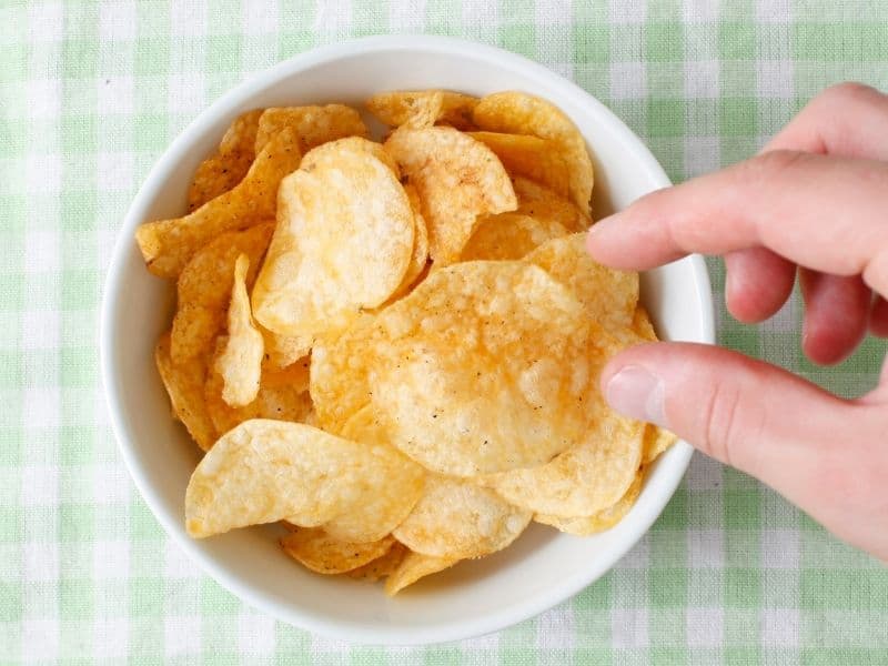 Can Cats Eat Chips? Waldo's Friends