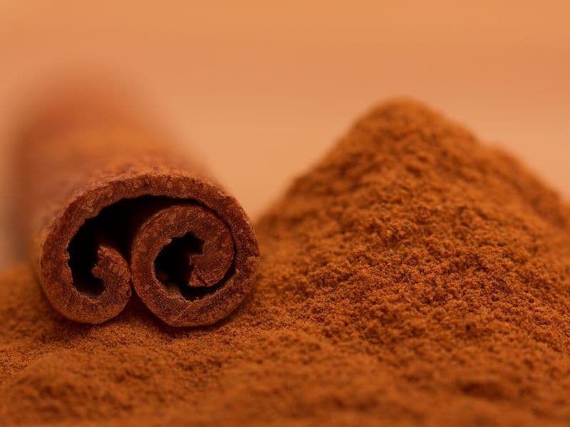 Can Cats Eat Cinnamon? Waldo's Friends