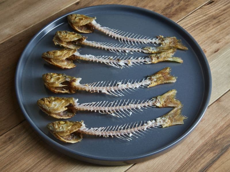 Can Cats Eat Fish Bones? Waldo's Friends