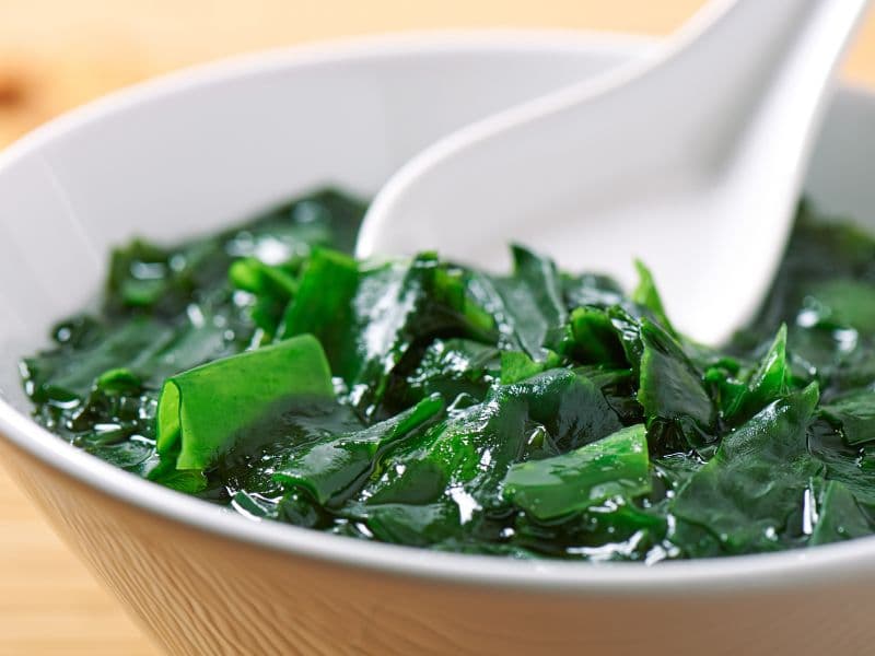 Can Cats Eat Seaweed? Waldo's Friends