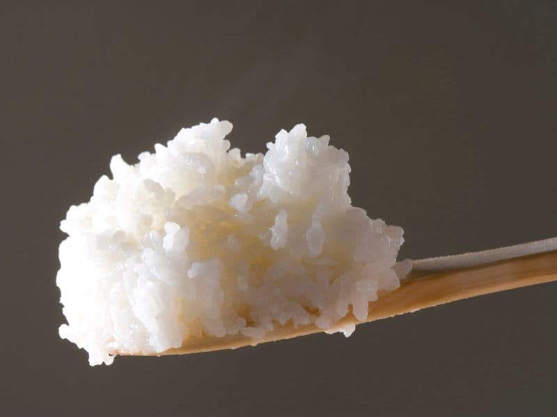 Can Cats Eat White Rice? Waldo's Friends