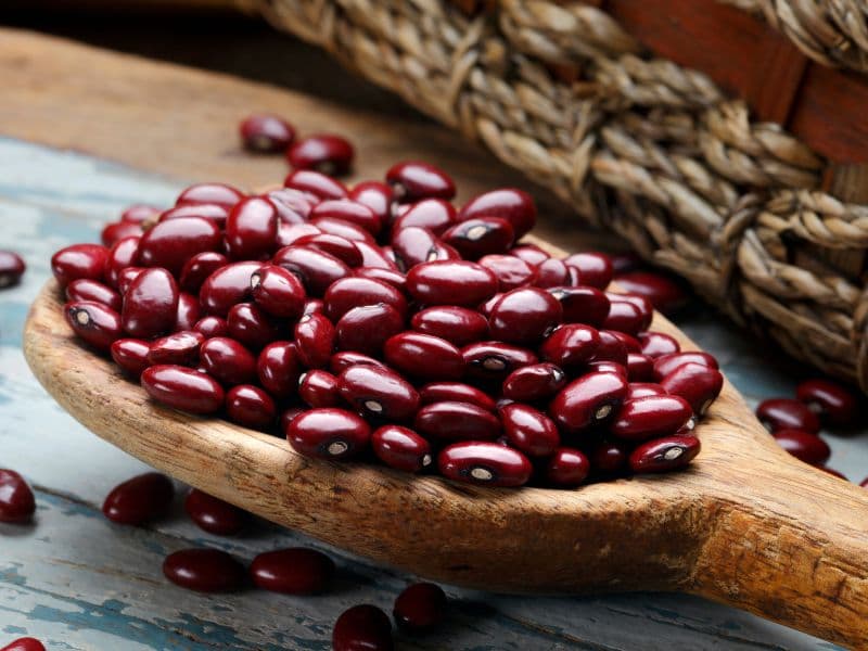 Can Dogs Eat Kidney Beans? Waldo's Friends