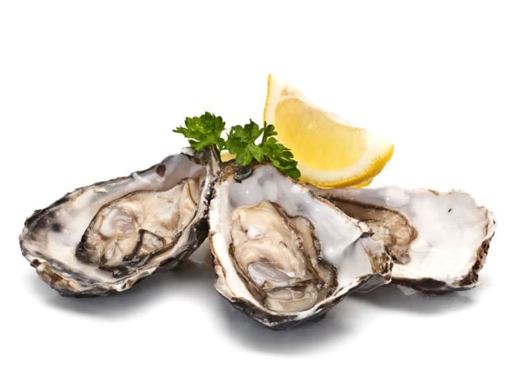 Can Dogs Eat Oysters? Waldo's Friends