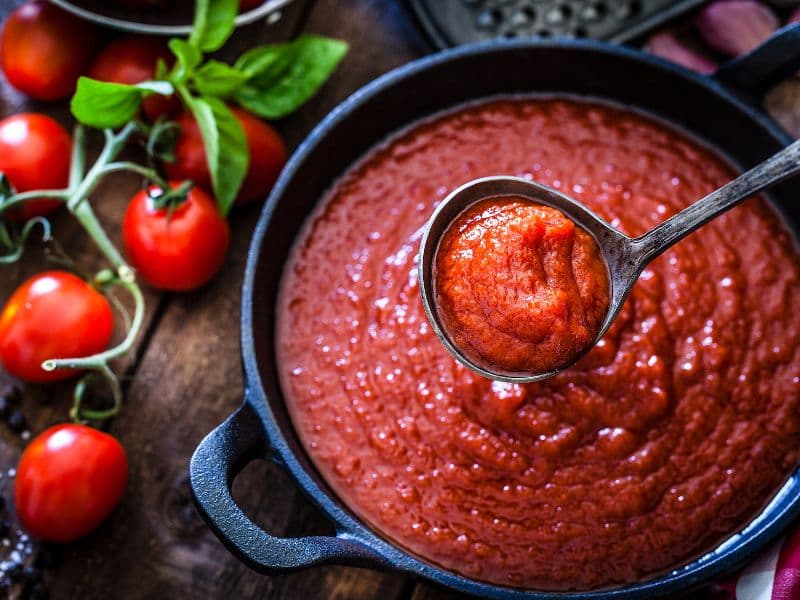 Can Dogs Eat Tomato Sauce? Waldo's Friends