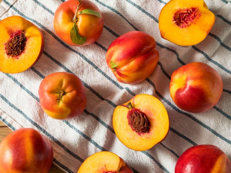 Can Cats Eat Nectarines? Waldo's Friends