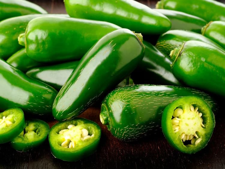 Can Dogs Eat Jalapeño? Waldo's Friends