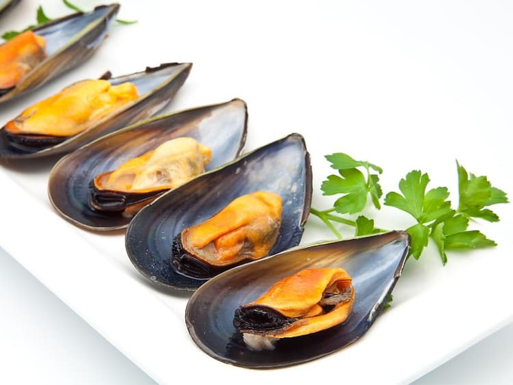 Can Dogs Eat Mussels? Waldo's Friends