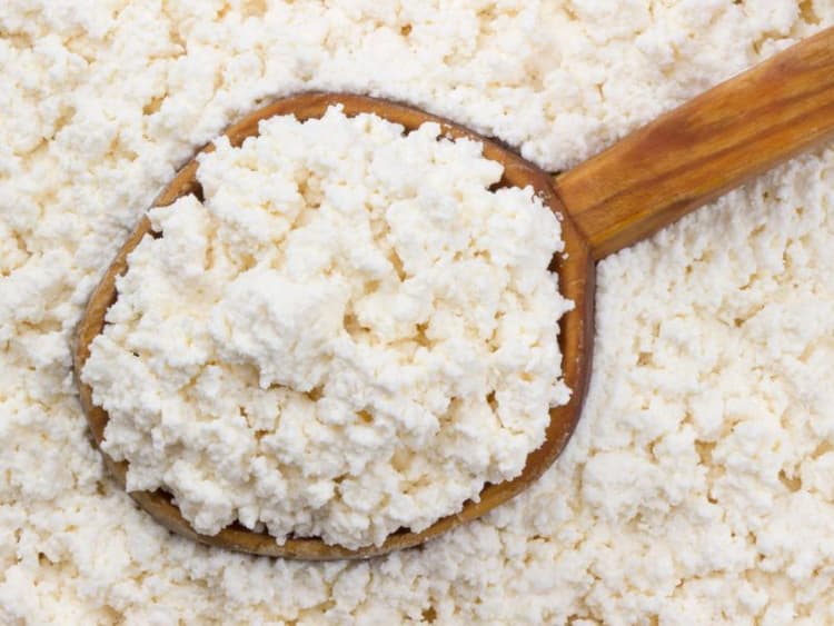 Can Cats Eat Cottage Cheese? Waldo's Friends