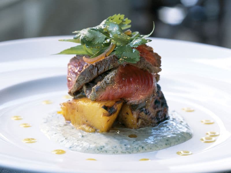 Can Cats Eat Kangaroo Meat? Waldo's Friends