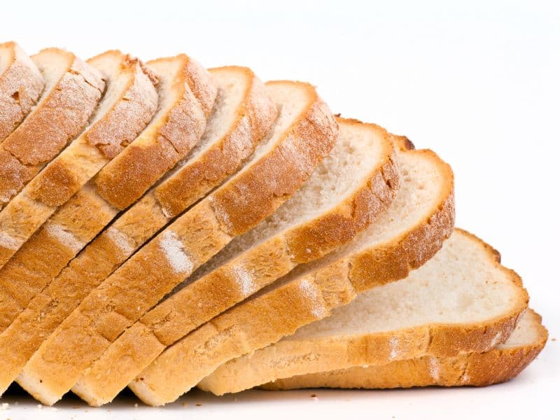 Can Dogs Eat White Bread? Waldo's Friends