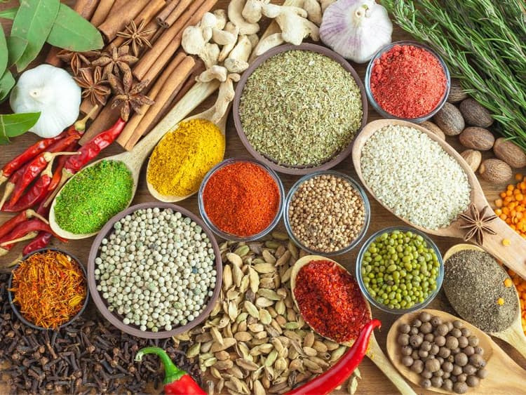 Which herbs and spices can your cat eat? [Over 20 options reviewed