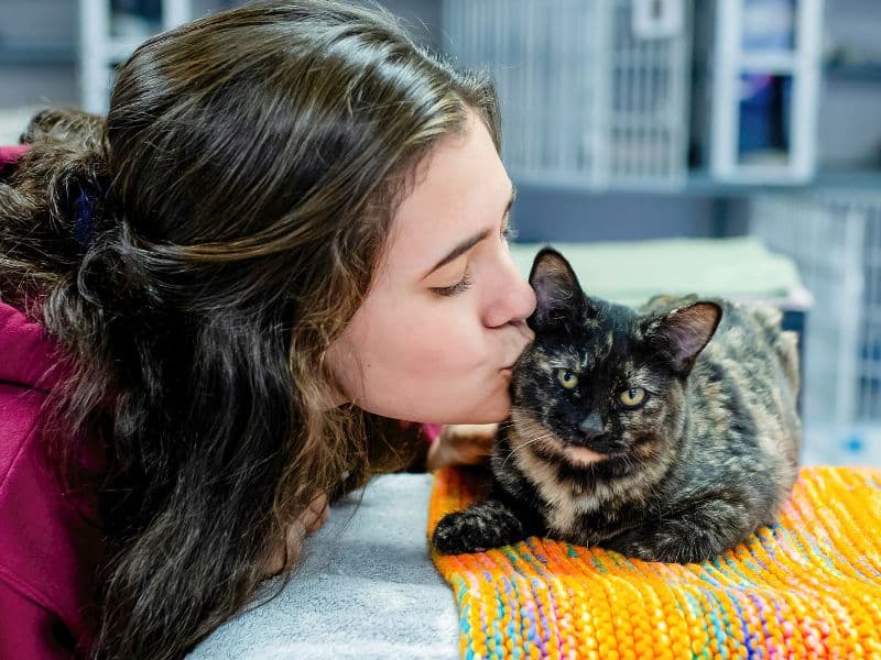 6 Reasons Why Your Cat Vomits White Foam Waldo's Friends