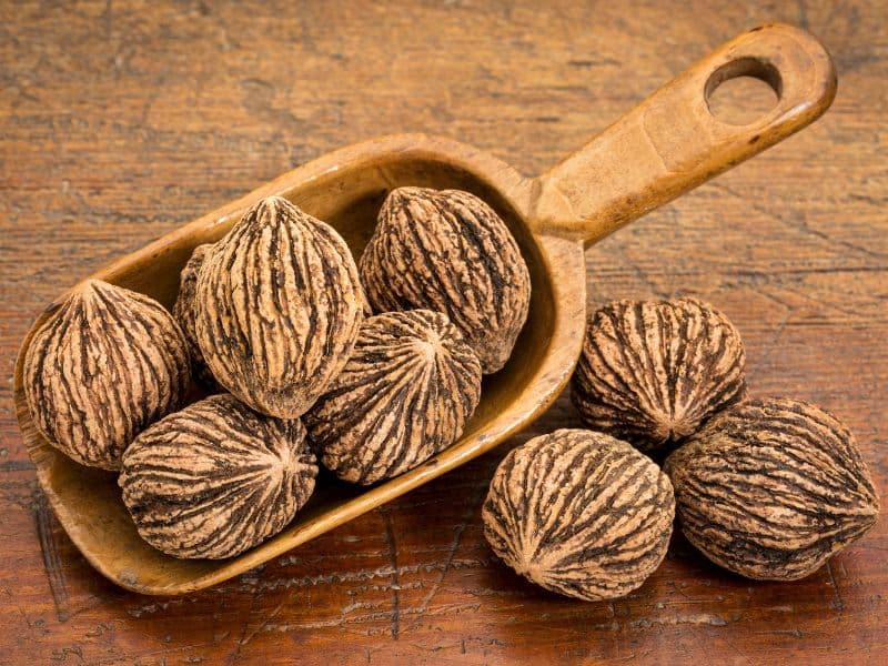 Can Dogs Eat Black Walnuts?
