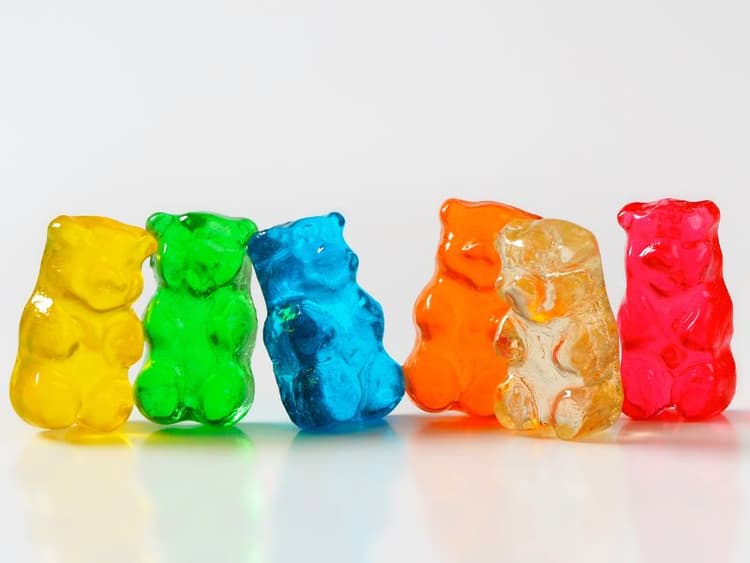 Can Dogs Eat Gummy Bears? Waldo's Friends