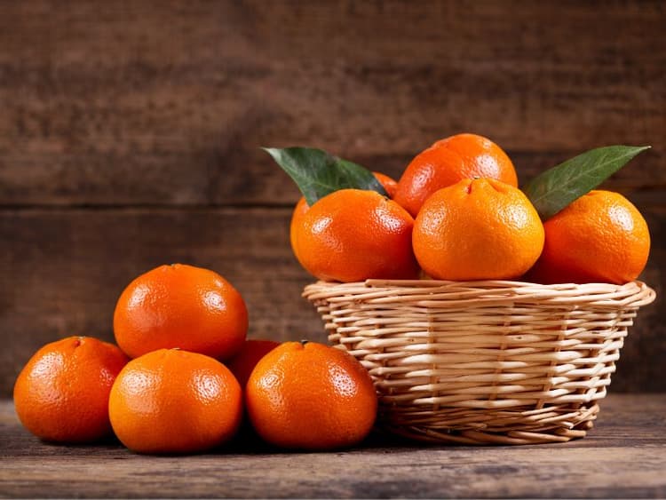 Can Dogs Eat Mandarin Oranges? Waldo