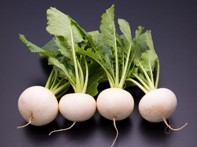 Can Dogs Eat Turnips? Waldo's Friends